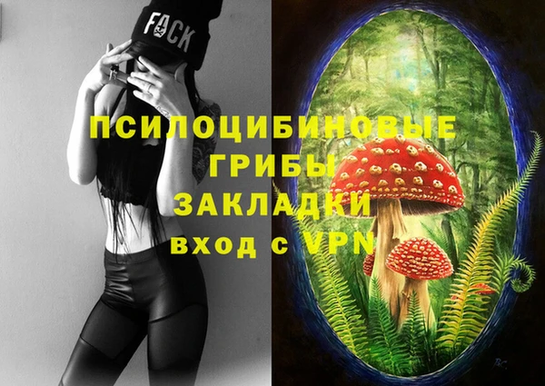 дурь Алексин