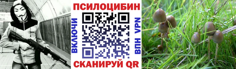Псилоцибиновые грибы Magic Shrooms  Усинск 